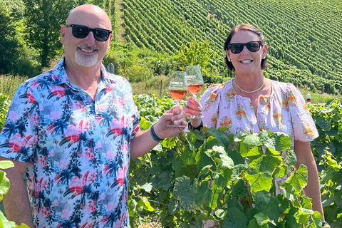 Au départ de Paris : Vallée de la Loire : Château de Chambord et dégustation de vins