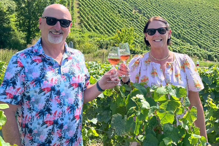 Vanuit Parijs: Kasteel Chambord in de Loirevallei en wijnproeverij