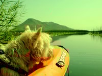 Kayak Adventure, Paddle your way through Lake Skadar - Housity