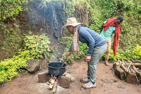 Moshi: Excursión a las cataratas, el café y las fuentes termales de Materuni