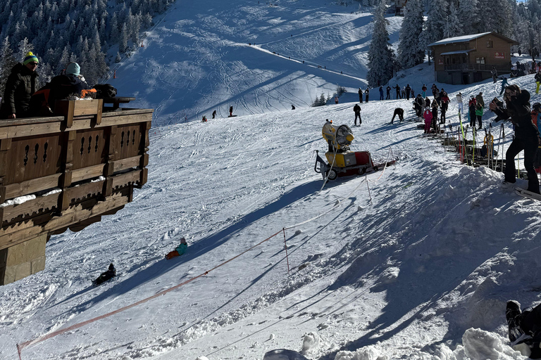 Desde Bucarest: Excursión de un día para esquiar en Poiana Brasov