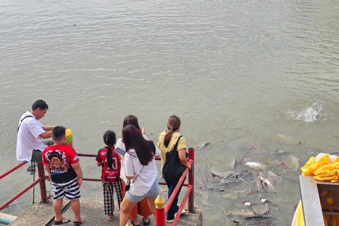 Pattaya: Viagem de 1 dia para Ayutthaya com tour particular de cauda longa