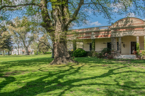 从布宜诺斯艾利斯出发：埃尔翁布德阿雷科（含接送服务）从布宜诺斯艾利斯出发：阿雷科的奥姆布树，含接送服务