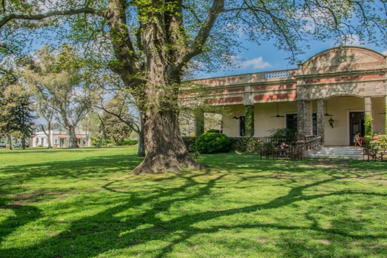 从布宜诺斯艾利斯出发：埃尔翁布德阿雷科（含接送服务）从布宜诺斯艾利斯出发：阿雷科的奥姆布树，含接送服务