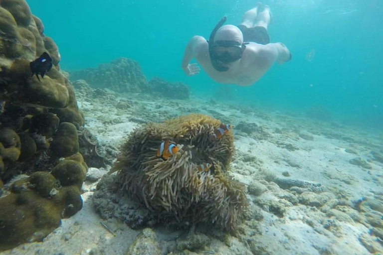 Paquete de 2 días, 1 noche y actividades en la isla Phi Phi