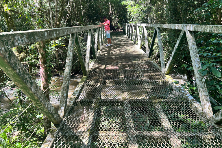 Essence of Iguazú: Full-Day Tour of Iguazú Falls (Brazil Side) and São João Trail Essence of Iguaçu: Full Day at Iguaçu Falls, Brazil, and São João Trail