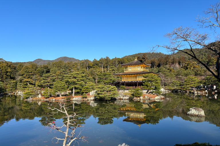 Recorrido privado en coche por Kioto con guía local y japonés