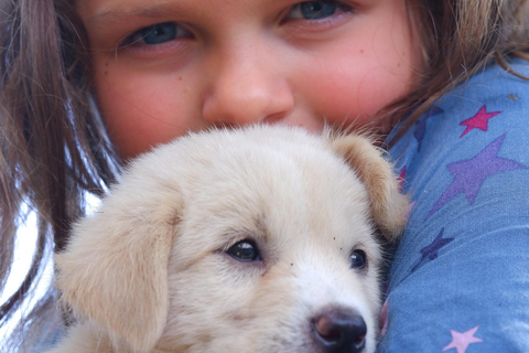 Le paradis des chiots du monde entier — Un bonheur balinais qui a du sensDécouvrez le paradis mondial des chiots à Thalassa Seseh