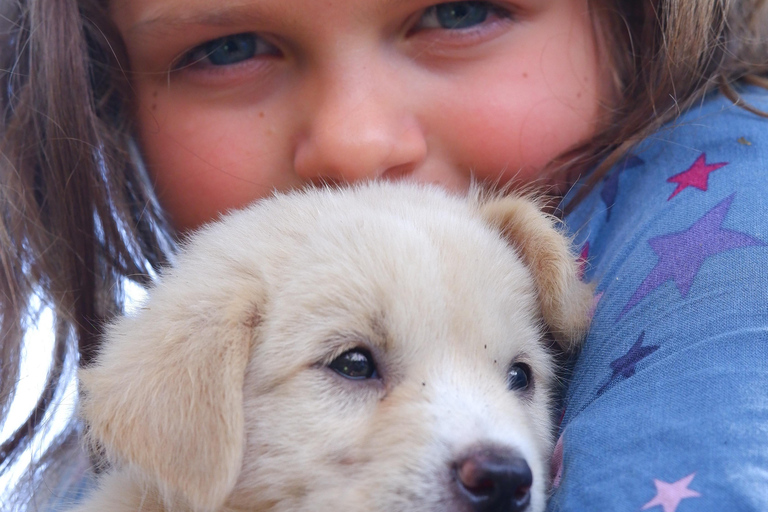 Le paradis des chiots du monde entier — Un bonheur balinais qui a du sensDécouvrez le paradis mondial des chiots à Thalassa Seseh