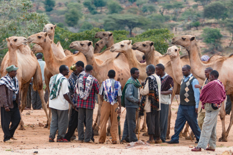 Addis Ababa: 4-Day Bale Mountains Adventure Tour