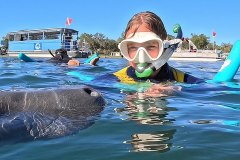 Crystal River: Guided Manatee Tour Heated Boat Free Photos