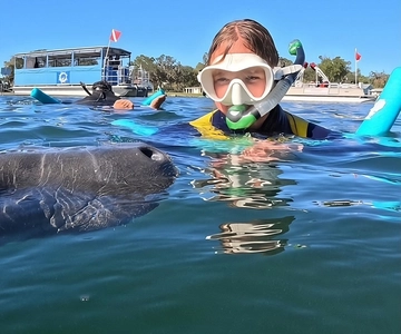 Crystal River: Guided Manatee Snorkeling Tour with Photos