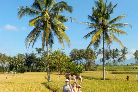 Ubud: Half-Day Tegallalang Electric Cycling Tour