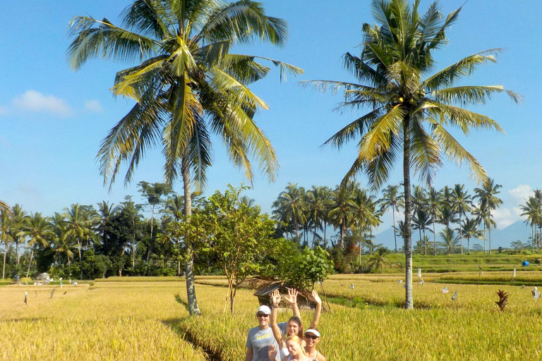 Ubud: Half-Day Tegallalang Electric Cycling Tour