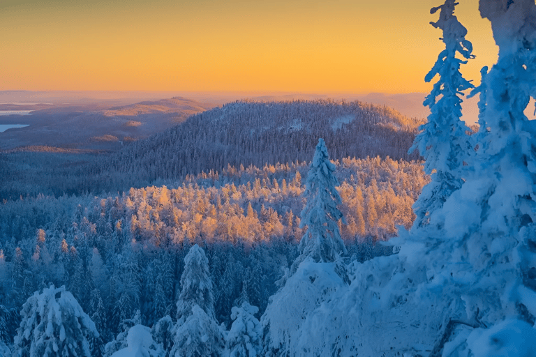 Rovaniemi: Auttiköngäs Winter Wilderness Hike & BBQ Auttiköngäs Winter Wilderness Hike & BBQ - Small Group