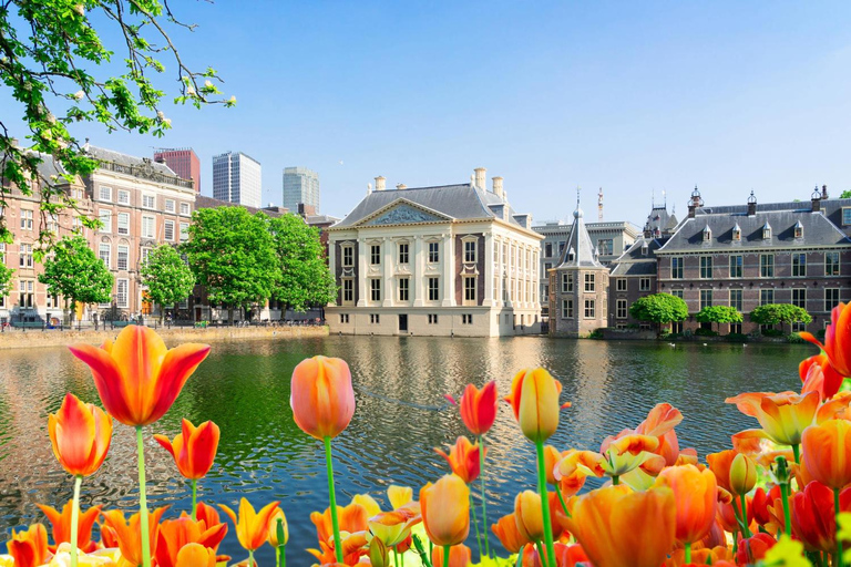 Den Haag: Insta-Perfecte wandeling met een local