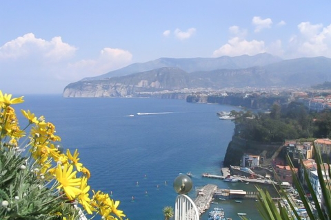 Ab Neapel: Tagestour nach Pompeji und SorrentTour auf Französisch mit Hotelabholung