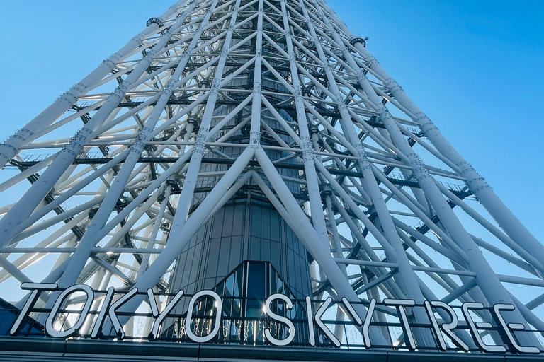 Tokyo Luxury Private City Tour Customizable with Guide