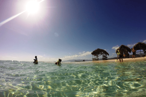 Cayo Arena: Paradijseiland en Mangroves TourSosua of Cabarete