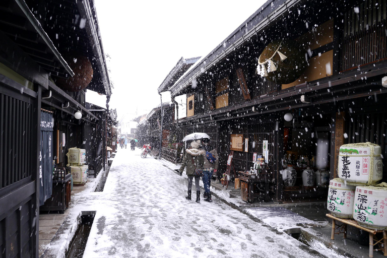 Viaje de ida y vuelta en autobús de Nagoya a Shirakawa-go o TakayamaNagoya ↔Takayama