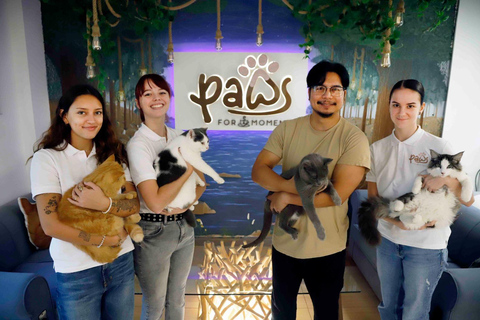 Malaga centro historico: Paws For A Moment Cat Cafe