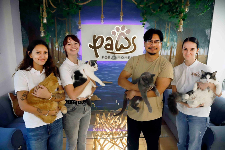 Malaga centro historico: Paws For A Moment Cat Cafe