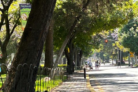 Authentic Guatemala City: Guided with a local Tour Guide