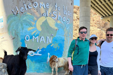 Muscat: Wadi Al Shab Oasis, Secret Cave & Sinkhole