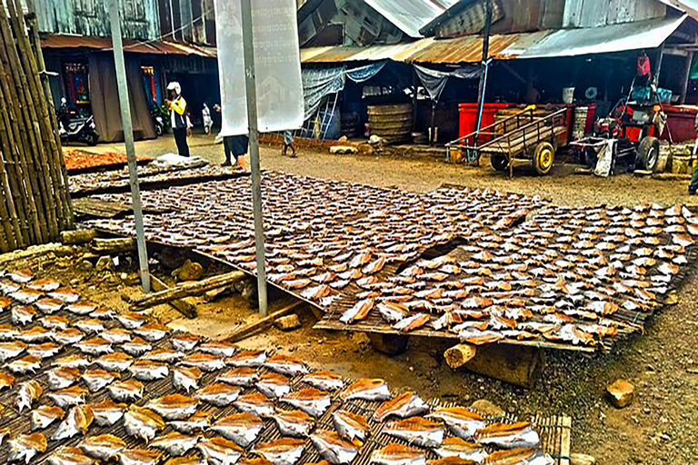 Half-Day Cycling to Discover Battambang's Rural Livelihoods