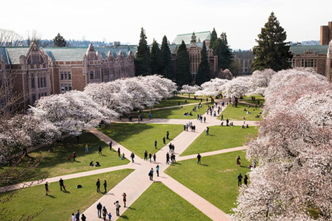 Seattle: Cherry Blossom Tour with Gardens & Pike Place