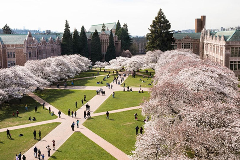 Seattle: Cherry Blossom Tour with Gardens & Pike Place