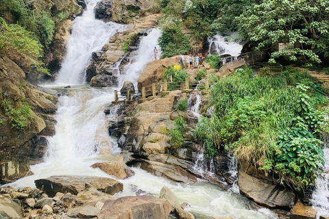 Tour di 7 giorni in Sri LankaTour di più giorni e Tour di un giorno