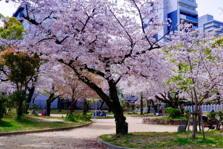 Osaka: Daytime Hanami (Cherry Blossom) and Food Tour