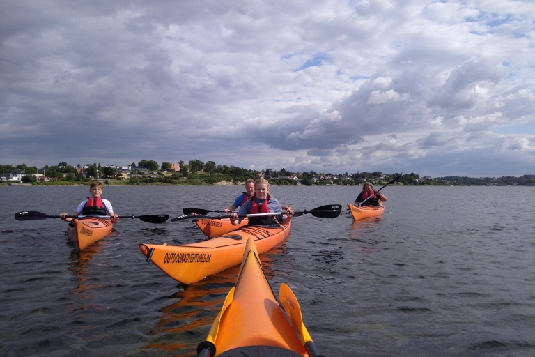 Roskilde:Guided kayaking on Roskilde Fjord: Sunday afternoon