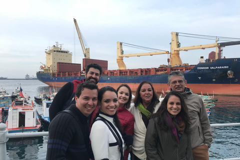 From Santiago: Full-Day Tour of Viña del Mar and Valparaiso