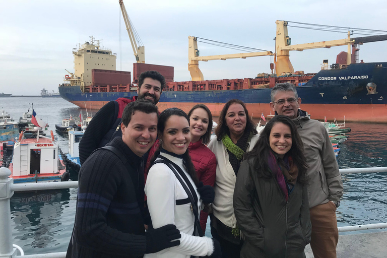 From Santiago: Full-Day Tour of Viña del Mar and Valparaiso