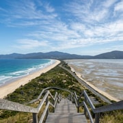 Bruny Island and Little Train: Wildlife and Coast Viewing