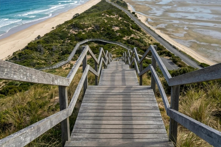 Bruny Island and Little Train: Local Explorer Tour