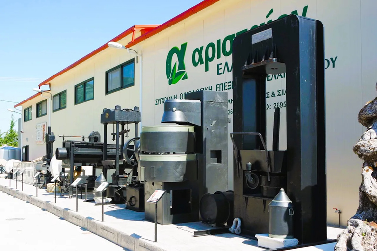 基利尼：扎金索斯岛游船之旅含午餐及橄榄油品鉴基利尼：扎金索斯岛游船之旅含午餐与橄榄油品鉴