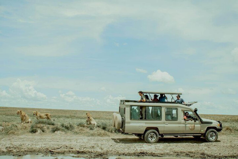 Safari económico de 2 días a Tarangire y Ngorongoro desde Zanzíbar