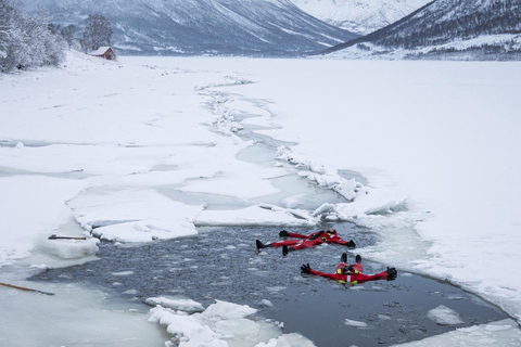 Tromsö: Arktiska oceanen Flytande läger Räddningsdräkt SimningUpplevelse nattetid