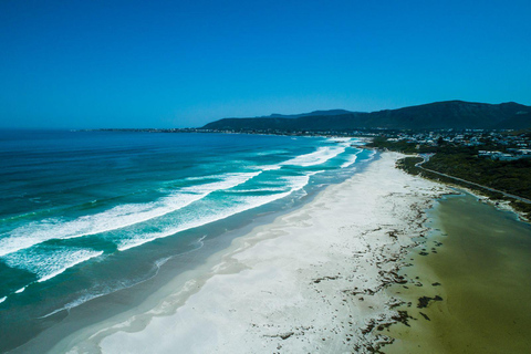 From Cape Town: Hermanus Whale Watching Full Day Tour default