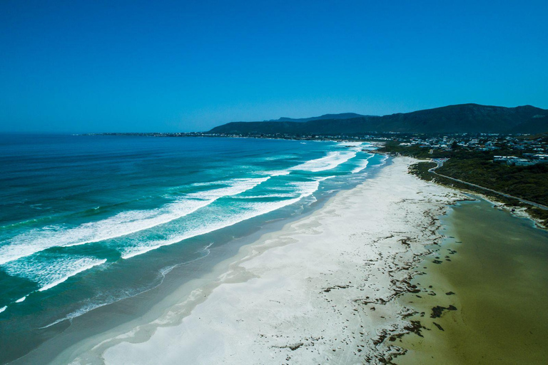 From Cape Town: Hermanus Whale Watching Full Day Tour default