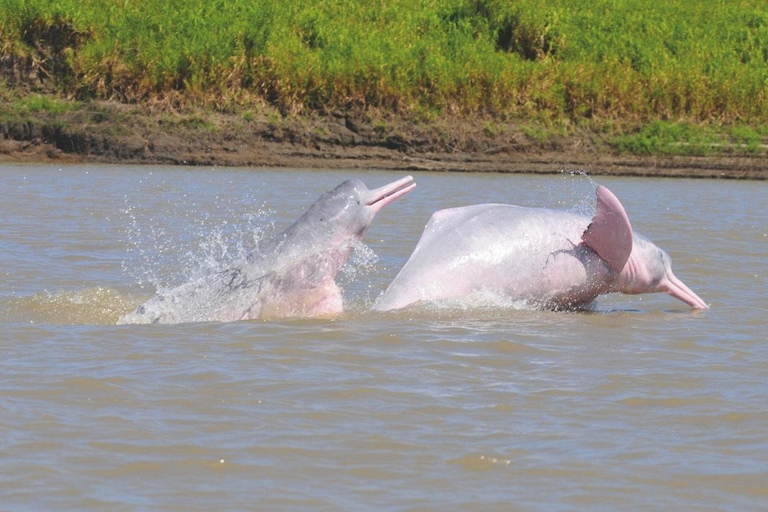 HUITOTO PROGRAM 4 DAYS 3 NIGHTS