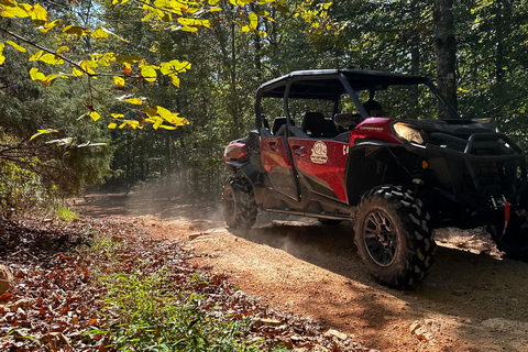Williamsport: 4-Hour Back Country Tour with Scenic Stop Williamsport: Guided Off-Road Excursion - 4 Hours
