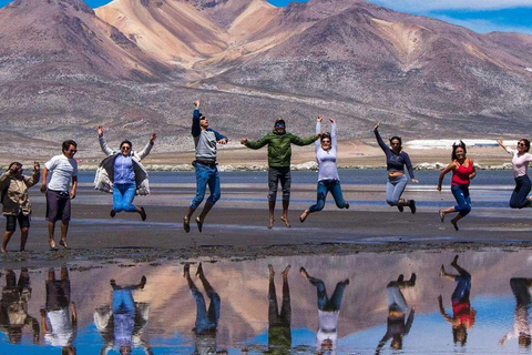 Tour of Salinas and Yanaorco lagoons + Lojen thermal baths