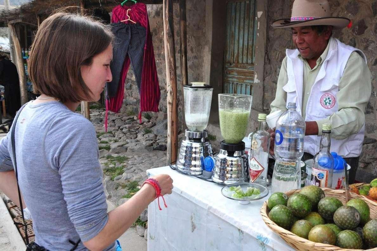 Excursion d&#039;une journée au Canyon de Colca + transfert à Puno avec repas