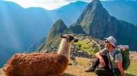 Machupicchu Full Day Tour, in treno Vistadome - Housity