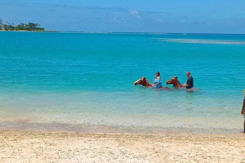 Vanuatu: Horseback Riding, Snorkeling, &amp; Village Tour