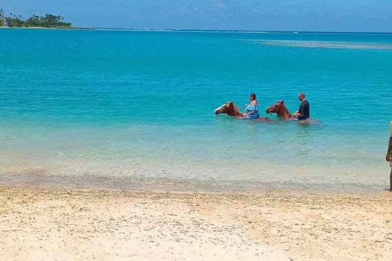 Vanuatu: Horseback Riding, Snorkeling, &amp; Village Tour
